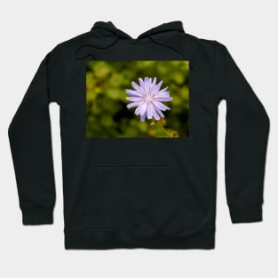 Purple chicory flower Hoodie